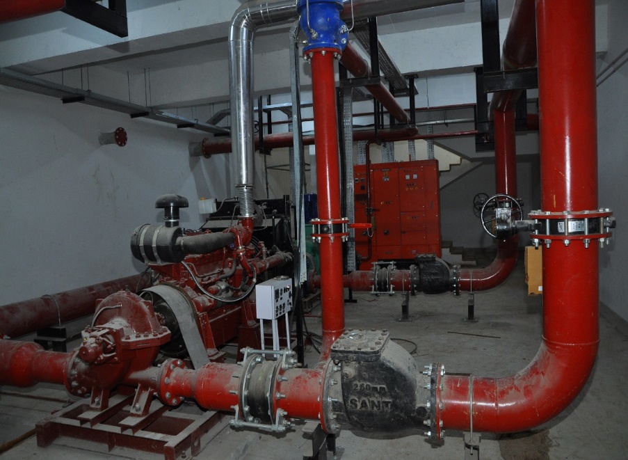 Himalaya Wellness Company